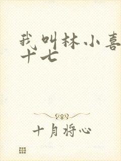 我叫林小喜今年十七封面
