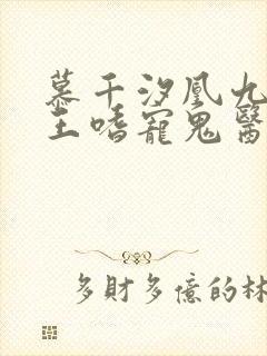 慕千汐凰九夜邪王嗜宠鬼医狂妃无弹窗封面