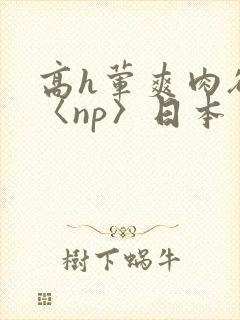 高h荤爽肉欲文〈np〉日本