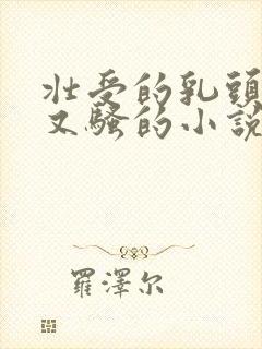 壮受的乳头又大又骚的小说