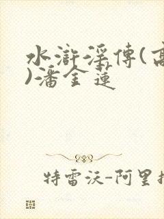 水浒淫传(高h)潘金莲封面