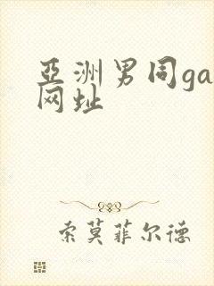 亚洲男同gay网址