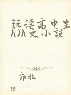 玩淫高中生(高h)h文小说
