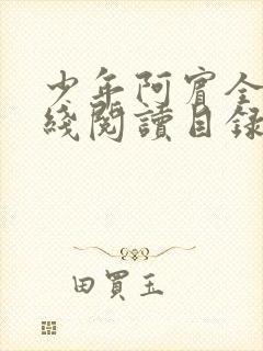 少年阿宾全文在线阅读目录