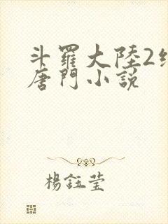 斗罗大陆2绝世唐门小说