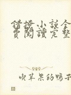 错撩小说全文免费阅读完整版