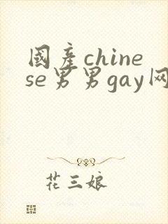 国产chinese男男gay网址