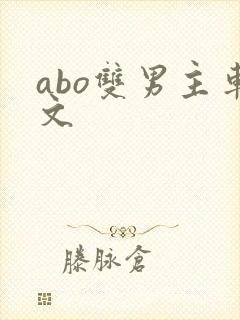 abo双男主车文