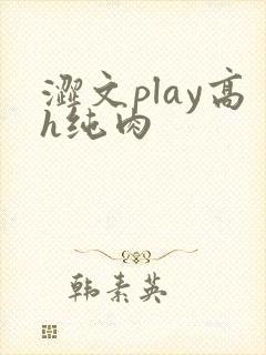 涩文play高h纯肉