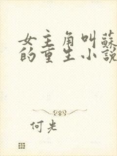 女主角叫苏倾城的重生小说