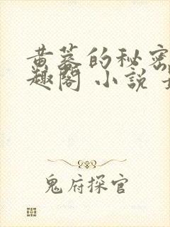 黄蓉的秘密 笔趣阁 小说 最新章节在线阅读