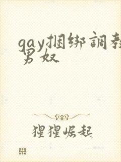 gay捆绑调教男奴封面