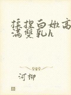 揉捏白嫩高耸饱满双乳h