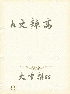 h文辣高封面