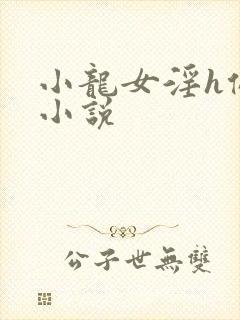 小龙女淫h侵犯小说