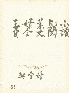 王婿叶凡小说免费全文阅读