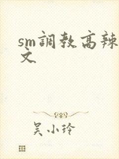 sm调教高辣h文