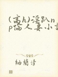 (高h)淫趴np伦人妻小说