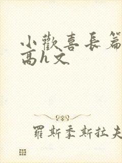 小欢喜长篇巨肉高h文