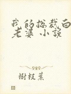 我的总裁白富美老婆 小说