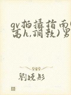 gv拍摄指南(高h,调教)男男小说文