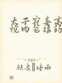 太子宠妾高肉红烧肉包讲的什么