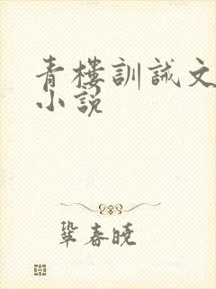 青楼训诫文挨打小说