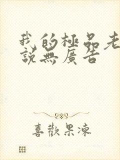 我的极品老婆小说无广告封面