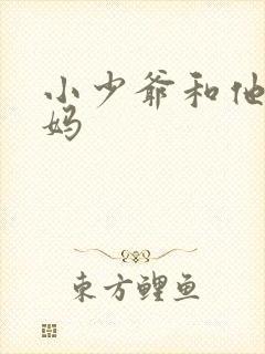 小少爷和他的后妈