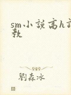 sm小说高h调教