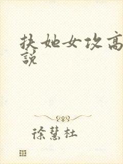 扶她女攻高h小说