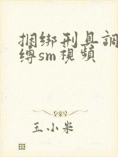 捆绑刑具调教束缚sm视频