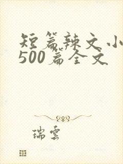 短篇辣文小说集500篇全文