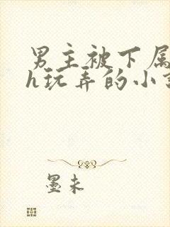 男主被下属调教h玩弄的小说