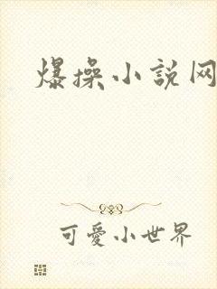 爆操小说网