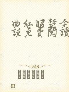 曲红昭楚今渊小说免费阅读最新章节