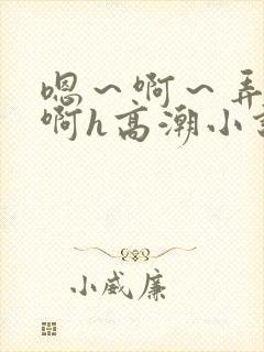 嗯～啊～弄嗯～啊h高潮小说