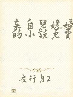 来自儿媳妇的爱的小说免费阅读