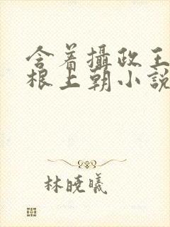 含着摄政王的紫根上朝小说