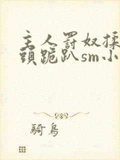 主人罚奴揉捏奶头跪趴sm小说
