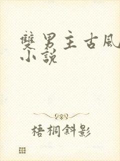 双男主古风玄幻小说