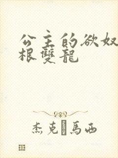 公主的欲奴h四根双龙