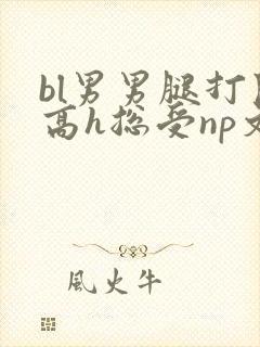 bl男男腿打开高h总受np文