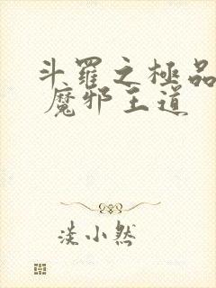 斗罗之极品武魂 魔邪王道