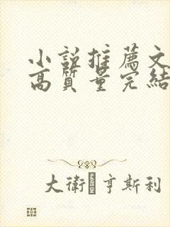 小说推荐文笔好高质量完结女主