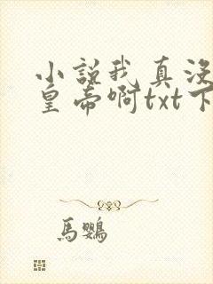 小说我真没想当皇帝啊txt下载