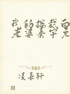 我的总裁白富美老婆秦宇免费阅读全文