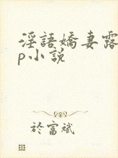 淫语娇妻露出多p小说封面