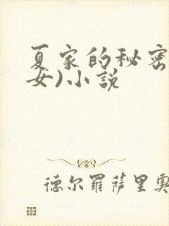 夏家的秘密(父女)小说