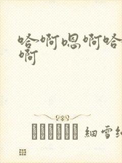 哈啊嗯啊哈啊嗯啊封面